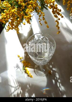 Mimosa bouquet with wine background Stock Photo - Alamy
