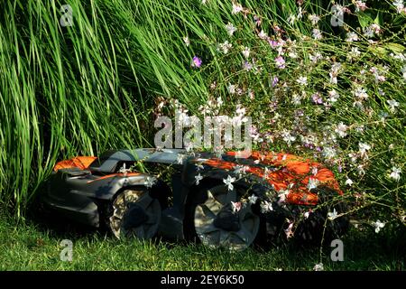 Lawn mower robot Lawnmower mowing lawn garden cutting grass border Stock Photo