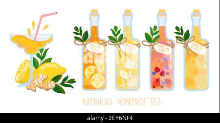 Kombucha homemade fermented raw tea in glass bottles set. Healthy natural probiotic drink with ginger, berry, citrus, original and alcoholic variation Stock Vector