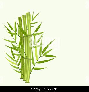 Bamboo Tree Icon Vector Art Illustration Stock Vector Image & Art - Alamy