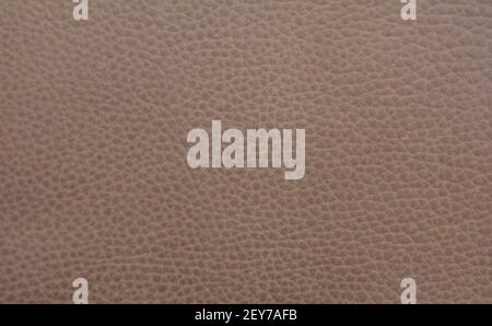 Full frame beige leather background showing leather grain and with copyspace Stock Photo