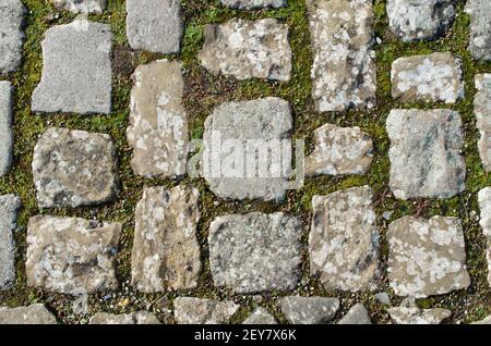 Close-up of paving stones with moss in between Stock Photo