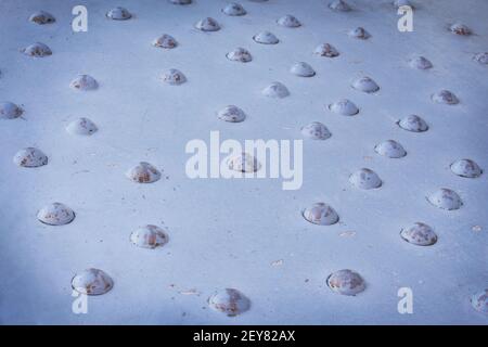 big convex rivets on metal surface background Stock Photo