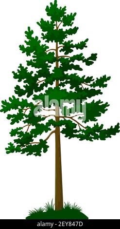 Green Pine Tree Stock Vector