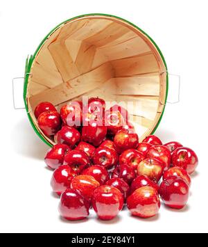 Vertical shot of a basket on its side with the red shiny apples spilling out.  Isolated on white with shadows. Stock Photo