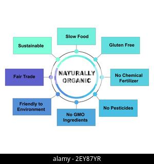 Diagram concept with Naturally Organic text and keywords. EPS 10 isolated on white background Stock Vector