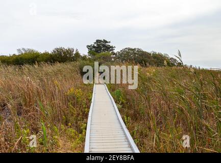 Boardwalk across the dunes and wetlands at a park in Cape May, New Jersey, USA Stock Photo