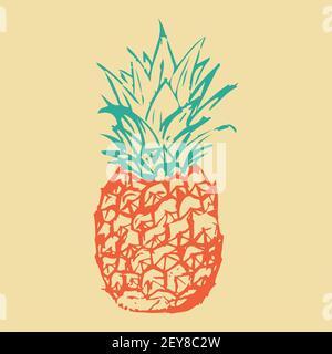A drawing of a pineapple made by hand.  Stock Vector