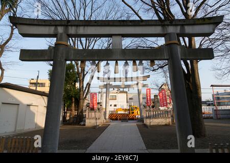 Torii Gate and Banner Flags of at Otori Shrine in Tokyo  Japan. Stock Photo