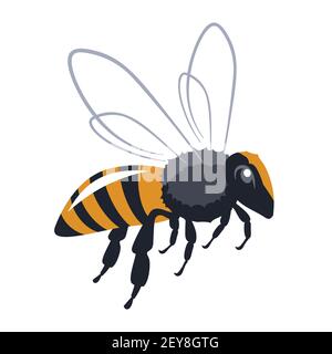 honey bee vector illustration Stock Vector