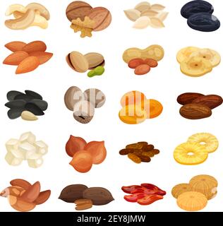 Dried fruits nuts healthy food nutrition realistic set with apricots almonds banana walnuts pistachios isolated vector illustration Stock Vector