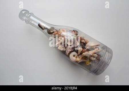 Collection of various seashells inside bottle container isolated on white background Stock Photo