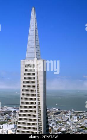 Trans America Building in San Francisco, CA Stock Photo