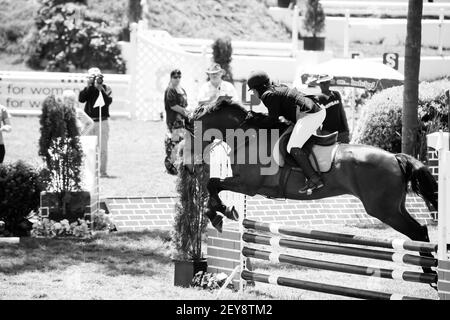 JOHANNESBURG, SOUTH AFRICA - Jan 06, 2021: Johannesburg, South Africa - October 08 2011: Equestrian Show Jumping and Horse Riding display Stock Photo