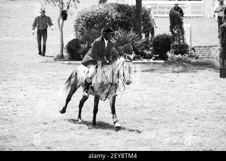 JOHANNESBURG, SOUTH AFRICA - Jan 06, 2021: Johannesburg, South Africa - October 08 2011: Equestrian Show Jumping and Horse Riding display Stock Photo