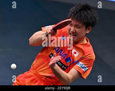Doha. 5th Mar, 2021. Harimoto Tomokazu of Japan returns the ball during the men's singles semifinal against Dimitrij Ovtcharov of Germany at WTT Contender Doha in Doha, Qatar on March 5, 2021. Credit: Nikku/Xinhua/Alamy Live News Stock Photo