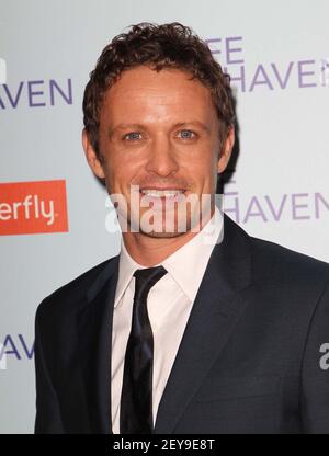 david lyons safe haven