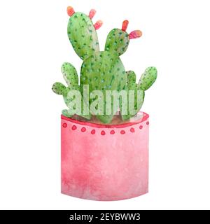 Watercolor cactus cacti succulent in ceramic pot. Potted house green natural plants exotic tropical flowers. Interior decoration botanical illustration vibrant design print Stock Photo