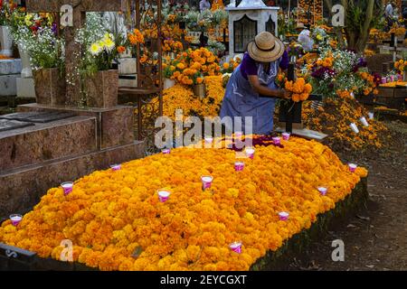 A woman decorating a tomb with marigold flowers on the Day of the Dead in Michoacan, Mexico Stock Photo