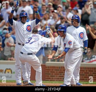 CHICAGO, IL - AUGUST 18: Darwin Barney #15 of the Chicago Cubs