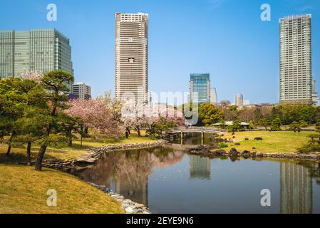 Hama Rikyu Garden, a public garden in tokyo, japan Stock Photo