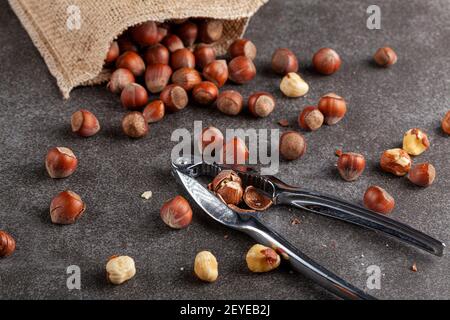 closeup selective focus image of hazelnuts in shells scattered from a vintage burlap sack onto dark background. Some are shelled and some are cracked. Stock Photo