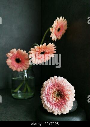A beautiful arrangement of gerberas and carnations on a gray background Stock Photo