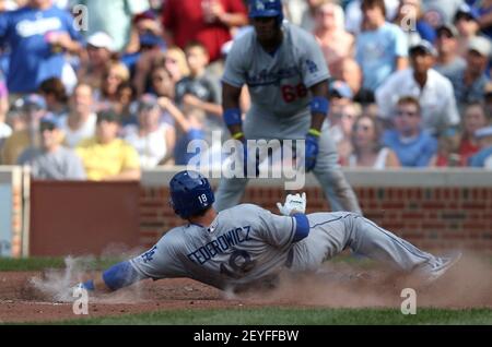  Tim Federowicz Game Used Jersey Dodgers Road