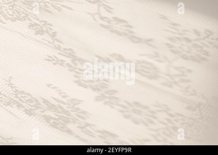 Sunlight on the wall with shadows from the white lace curtain. Spring and summer texture background Stock Photo