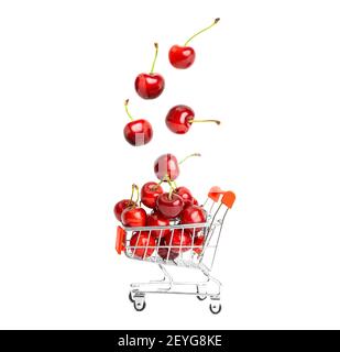 Sweet cherries falling into a miniature shopping trolley full of ripe fruit isolated on white background. Stock Photo