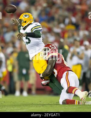 Vince Young Played NFL Football Tonight for The Packers of Green Bay -  Barking Carnival