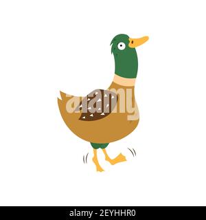 Cartoon duck, vector illustration on white isolated background. Stock Vector