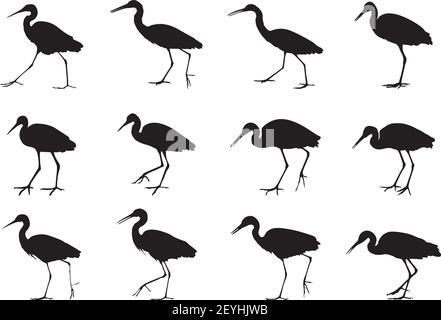 white Herons birds motion shadow set of silhouette Stock Vector