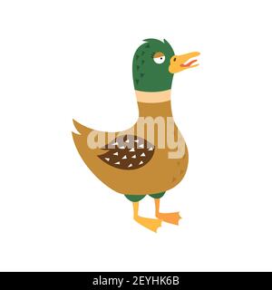 Cartoon duck, vector illustration on white isolated background. Stock Vector