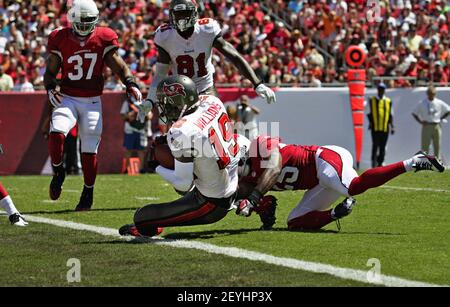 Arizona Cardinals wide receiver Daniel Arias (87) in action against the  Minnesota Vikings during the first half of an NFL preseason football game  Saturday, Aug. 26, 2023 in Minneapolis. (AP Photo/Stacy Bengs