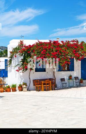 In      isle of greece      old house    white color Stock Photo