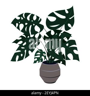 Tropical monstera plant in a pot. The decor of the home and office is an exotic palm bush with large leaves. Vector illustration - isolate on a white Stock Vector