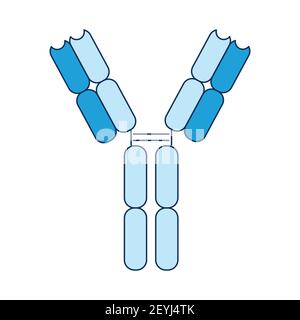 Antibody immune system influenza viruses, bacteria, coronavirus, COVID-19 and foreign substances in the blood. Vector illustration in the style of a f Stock Vector