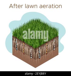 Lawn care - aeration and scarification. Labels by stage- after. Intake of substances-water, oxygen, and nutrients to feed the grass and soil. Vector i Stock Vector