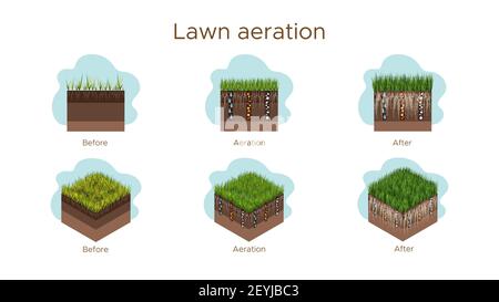 Lawn care - aeration and scarification. Labels by stage-before, during, and after. Intake of substances-water, oxygen, and nutrients to feed the grass Stock Vector