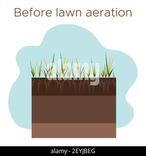 Lawn care - aeration and scarification. Labels by stage-before. Intake of substances-water, oxygen, and nutrients to feed the grass and soil. Vector f Stock Vector