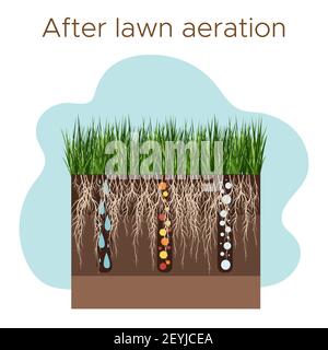 Lawn care - aeration and scarification. Labels by stage-after. Intake of substances-water, oxygen, and nutrients to feed the grass and soil. Vector fl Stock Vector