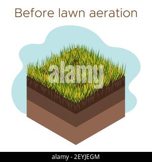 Lawn care - aeration and scarification. Labels by stage-before. Intake of substances-water, oxygen, and nutrients to feed the grass and soil. Vector i Stock Vector