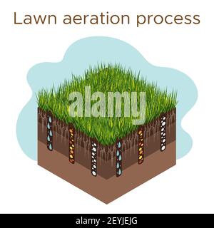Lawn care - aeration and scarification. Labels by stage-during. Intake of substances-water, oxygen, and nutrients to feed the grass and soil. Vector i Stock Vector