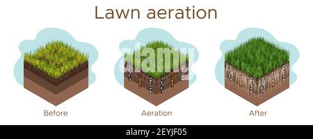 Lawn care - aeration and scarification. Labels by stage-before, during, and after. Intake of substances-water, oxygen, and nutrients to feed the grass Stock Vector