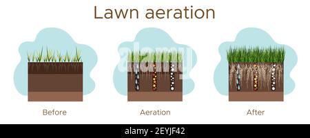 Lawn care - aeration and scarification. Labels by stage-before, during, and after. Intake of substances-water, oxygen, and nutrients to feed the grass Stock Vector