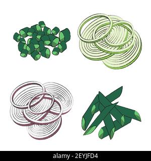 Set of green chives and red onions, vegan and vegetarian raw food. Slicing vegetables coarsely rings, feathers and small pieces. Vector illustration i Stock Vector