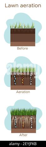 Lawn care - aeration and scarification. Labels by stage-before, during, and after. Intake of substances-water, oxygen, and nutrients to feed the grass Stock Vector