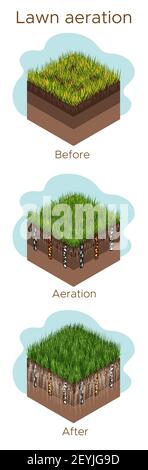 Lawn care - aeration and scarification. Labels by stage-before, during, and after. Intake of substances-water, oxygen, and nutrients to feed the grass Stock Vector