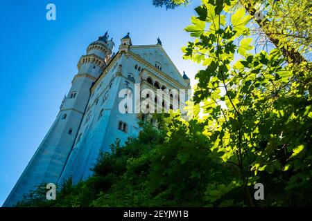 Beautiful and stunning low angle view of the famous Neuschwanstein Castle in Schwangau, Bavaria, Germany, Europe Stock Photo